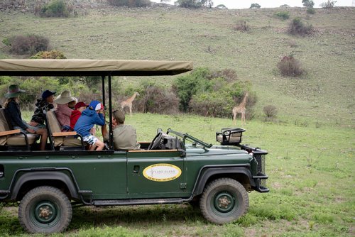 Lake-Eland-Wildlife-1